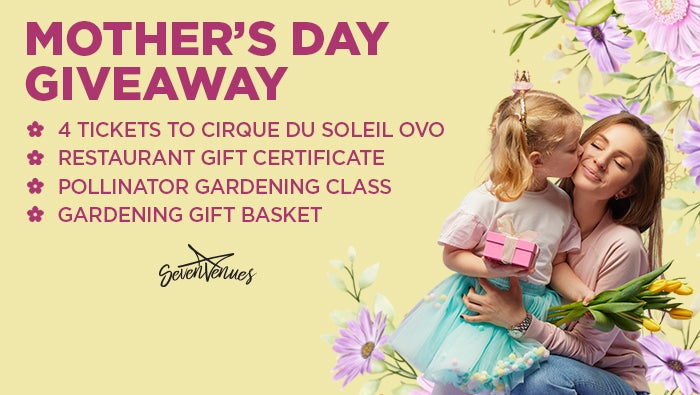 Sevenvenues Mother's Day Giveaway 